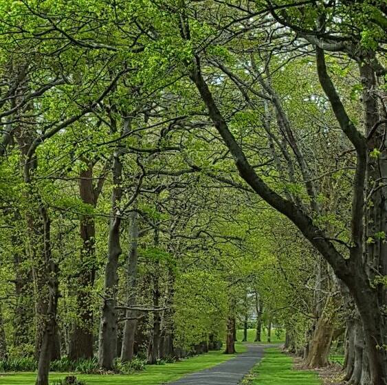 צימר Oak Lane Lodge
