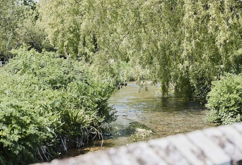 ベッドアンドブレックファースト The Bucks Head