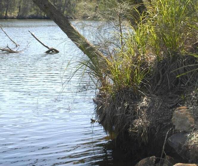 Bewong River Retreat