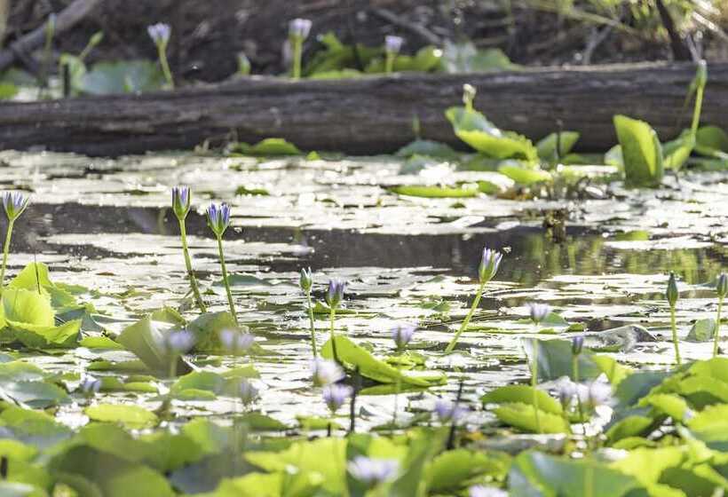 Clarendon Forest Retreat