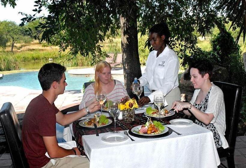 Gazebo Lodge   Hostel