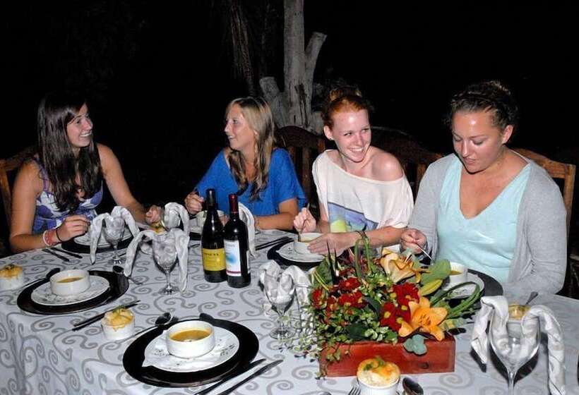 Gazebo Lodge   Hostel