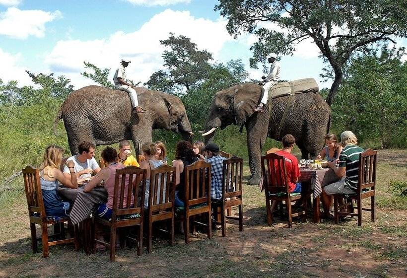 Gazebo Lodge   Hostel