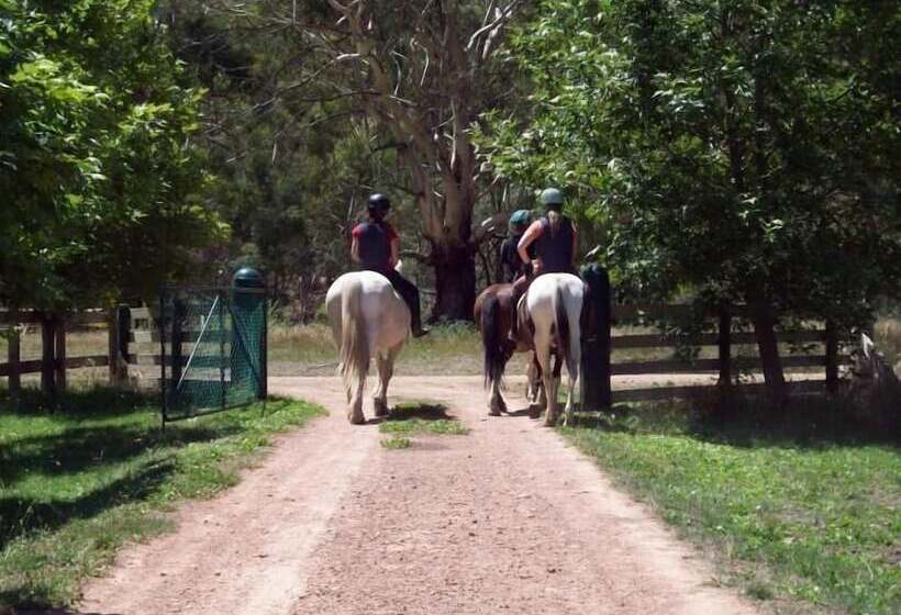 Berner B&b, Halls On Falls Homestead