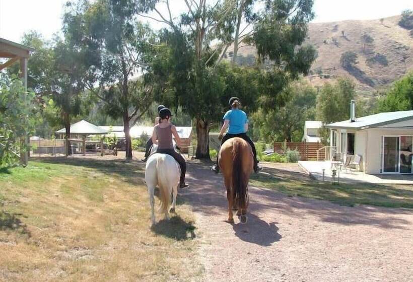 Berner B&b, Halls On Falls Homestead