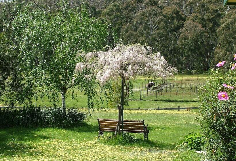 Berner B&b, Halls On Falls Homestead