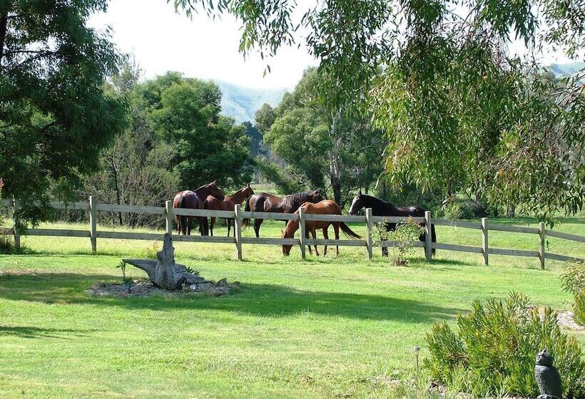 Berner B&b, Halls On Falls Homestead