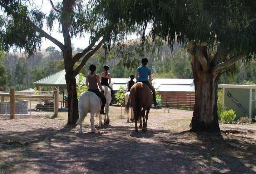 Berner B&b, Halls On Falls Homestead