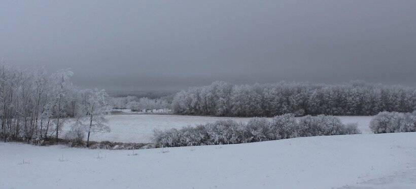 Honeycomb Bed & Breakfast