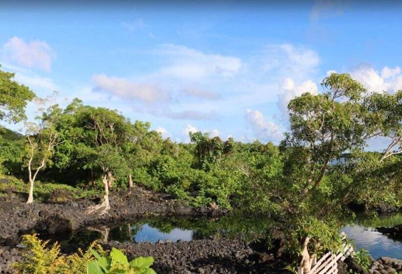 هتل Bayview Resort