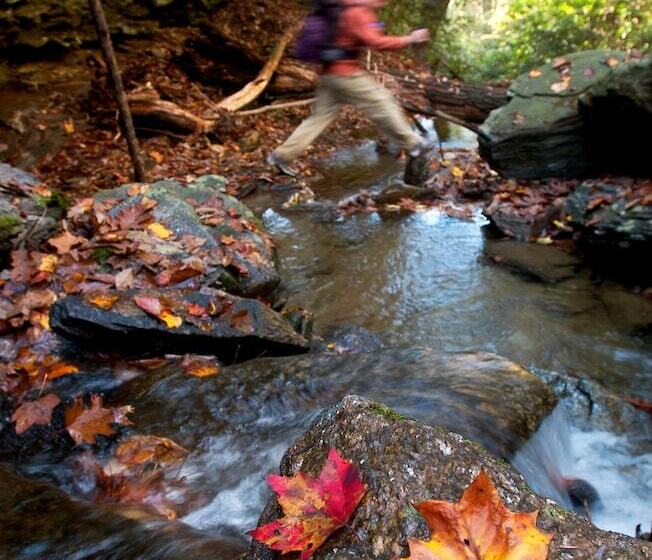 فندق Bright S Creek Lodge