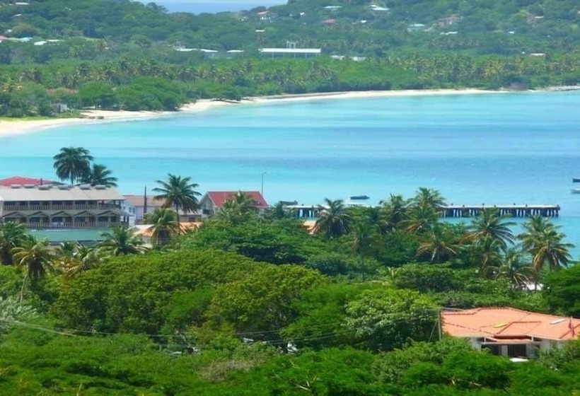 Отель Carriacou Grand View
