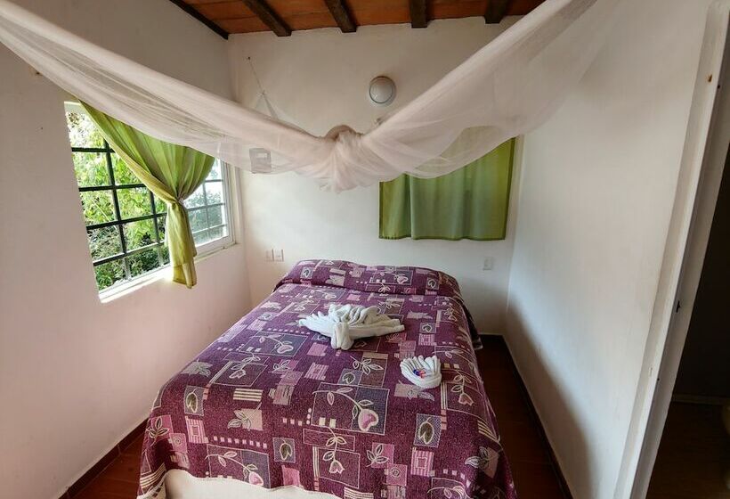 ホテル Casa Bahia Bonita