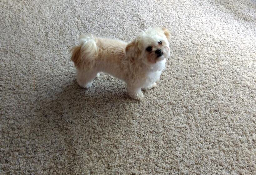 فندق Curriers Lakeview Lodge