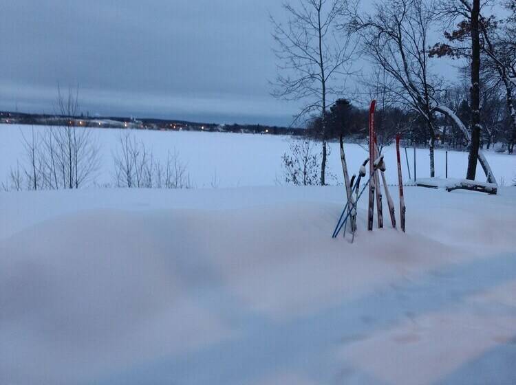 فندق Curriers Lakeview Lodge