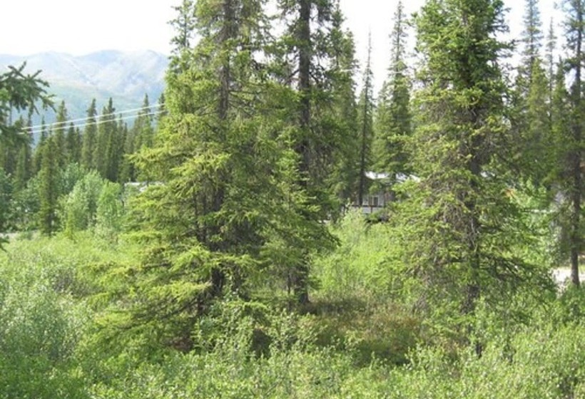 בית מלון כפרי The Perch Resort