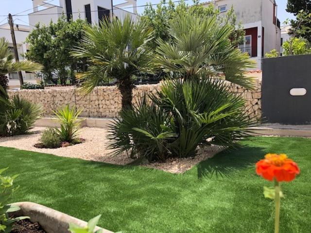 酒店 Diklo Beach Rooms Adults Only