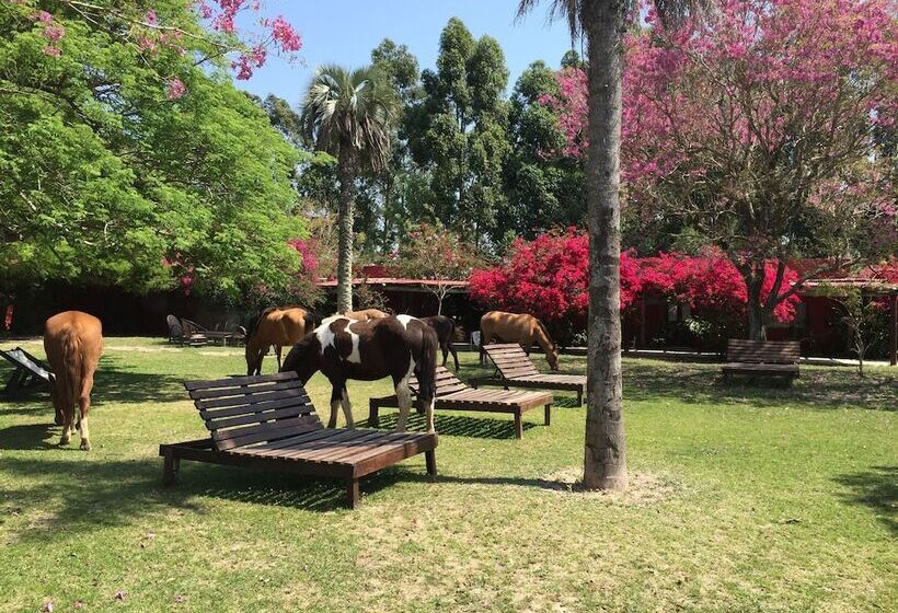 Отель Estancia Don Joaquin