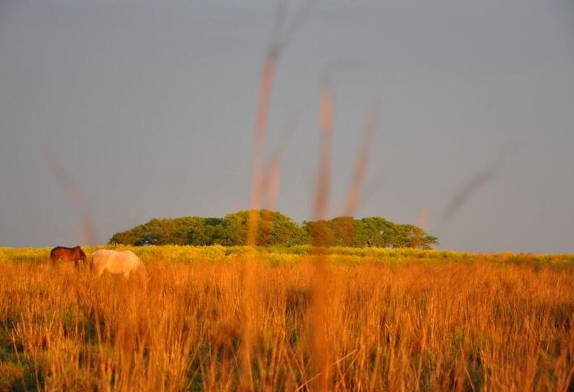 Отель Estancia Don Joaquin