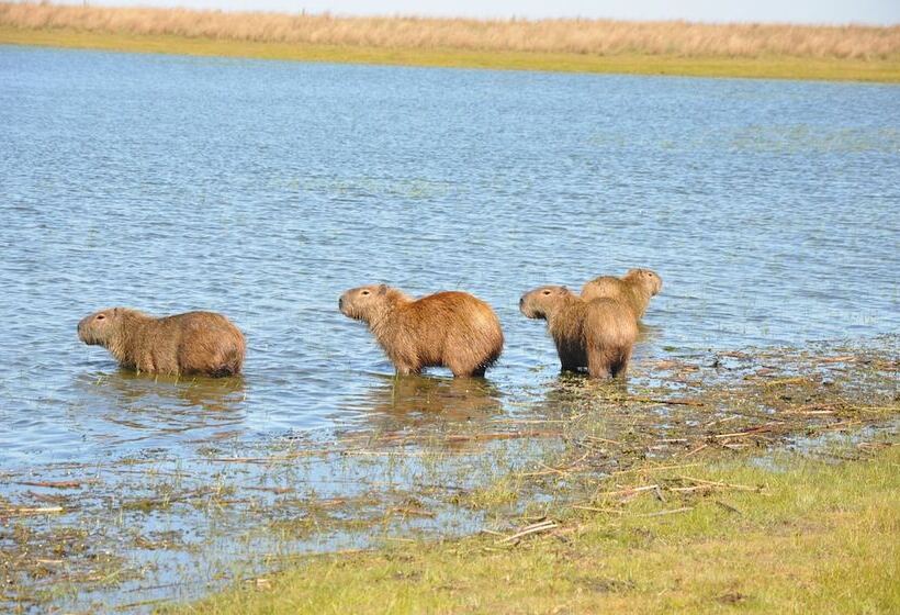 Отель Estancia Don Joaquin