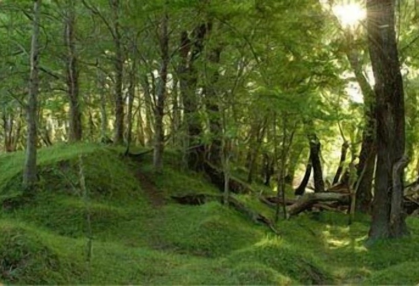 Отель Estancia El Cencerro