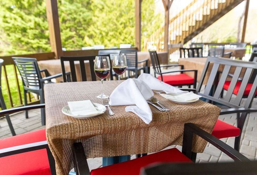 فندق Euro Spa Centre De Santé Auberge