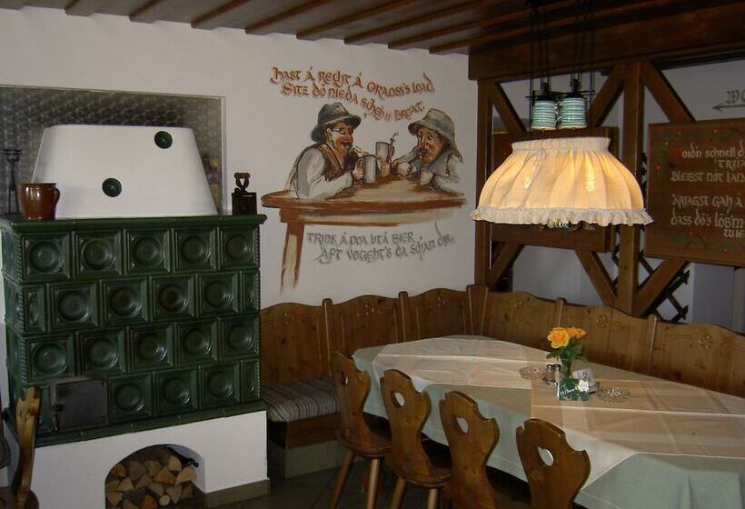 酒店 Franz Stelzhamerhof