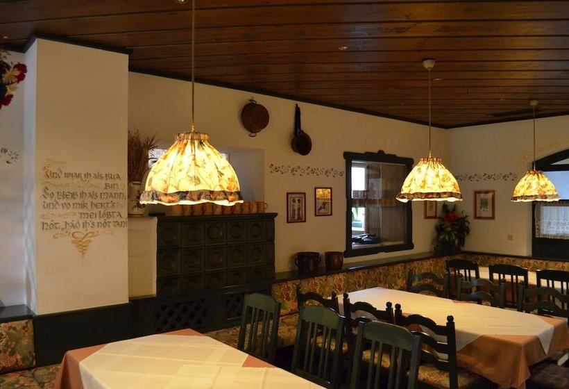 酒店 Franz Stelzhamerhof