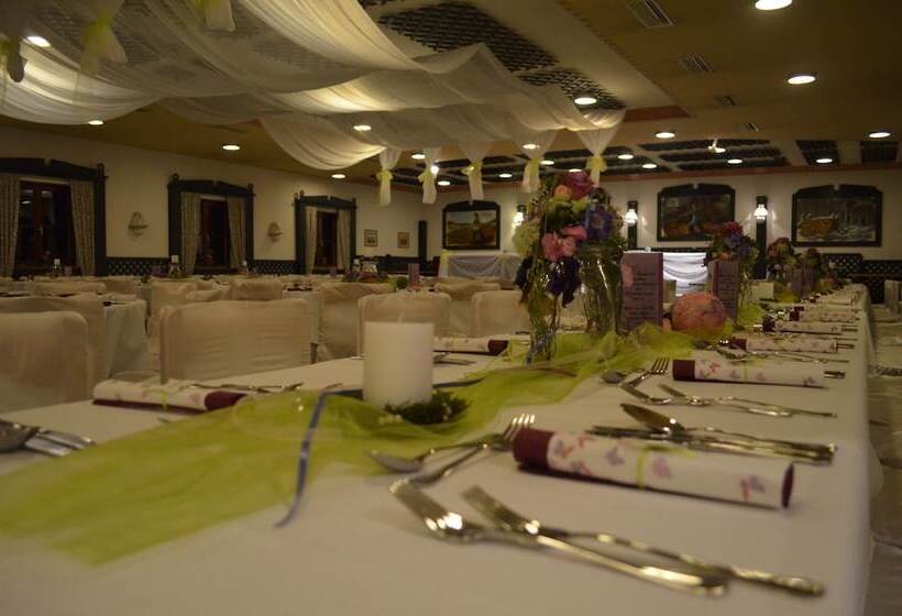 酒店 Franz Stelzhamerhof