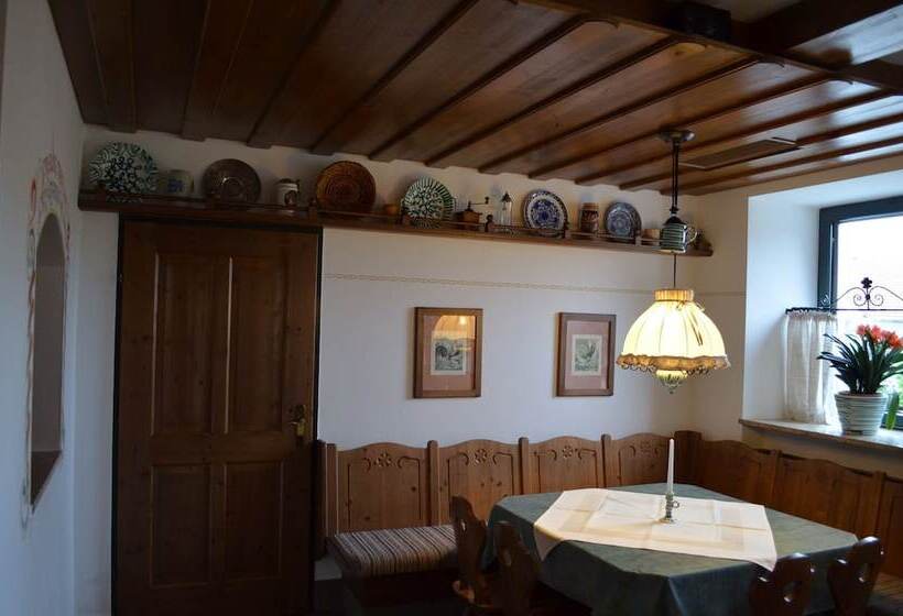 酒店 Franz Stelzhamerhof