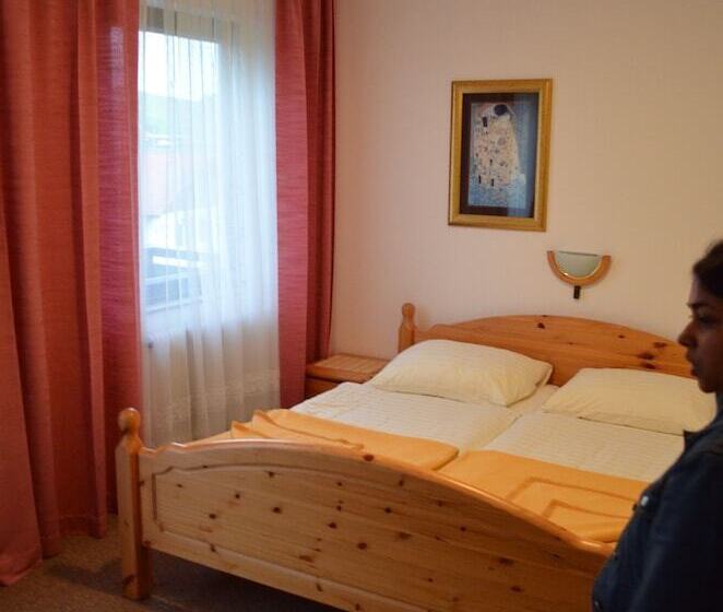 酒店 Franz Stelzhamerhof