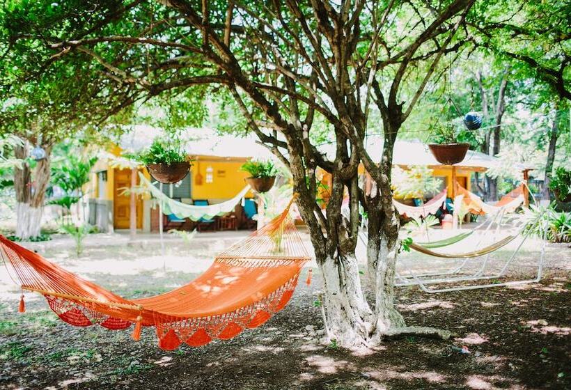 فندق Hamacas Astillero