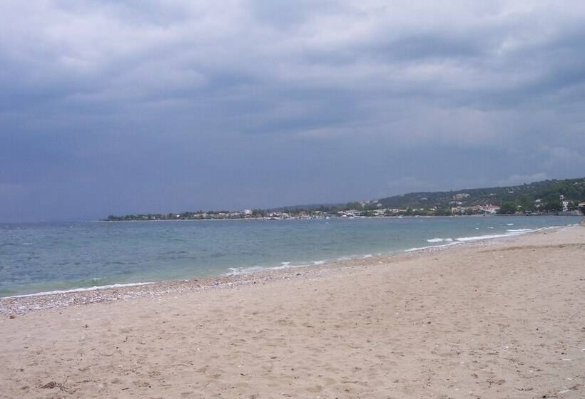 בית מלון כפרי Irene Studios