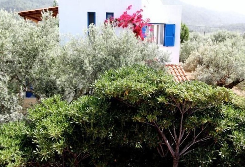 בית מלון כפרי Katerina S Bungalows