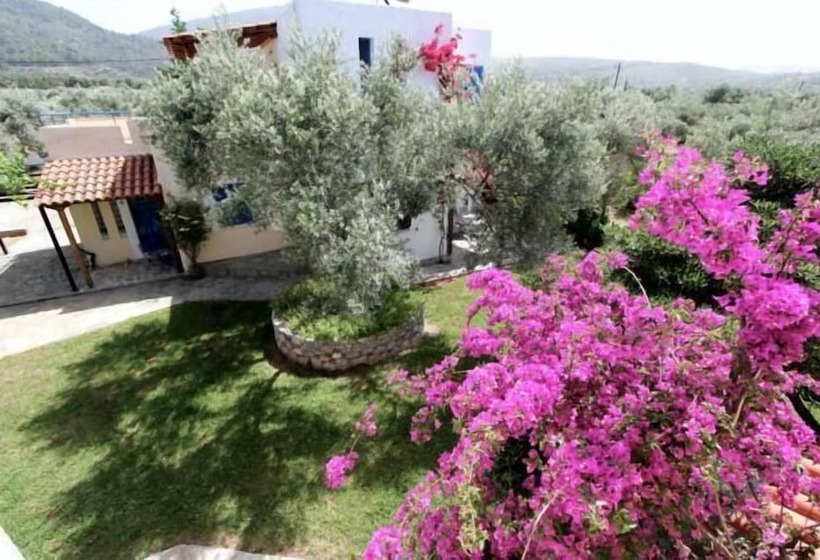 בית מלון כפרי Katerina S Bungalows