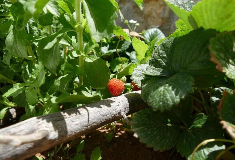 בית מלון כפרי Kekrifalia