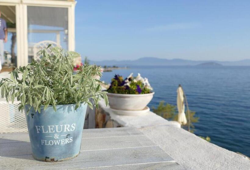 בית מלון כפרי Kekrifalia