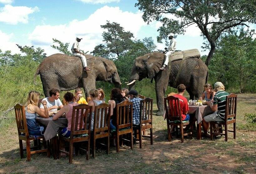 בית מלון כפרי Kingfisher Bush Camp