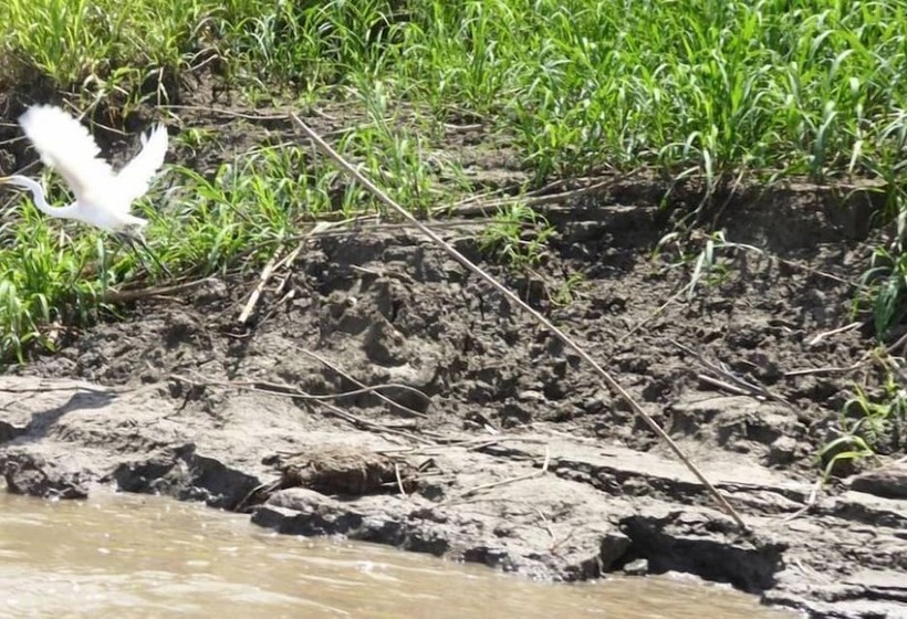 فندق La Fuente Del Amazonas Lodge