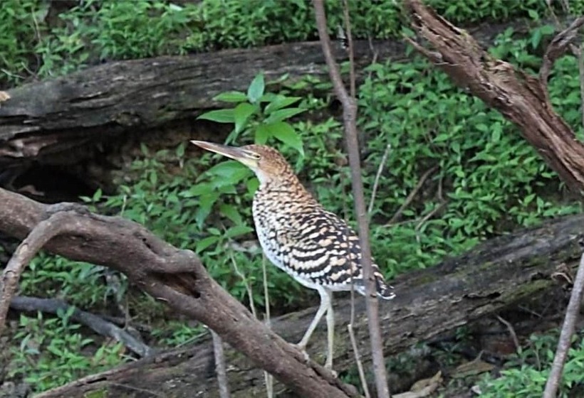 فندق La Fuente Del Amazonas Lodge