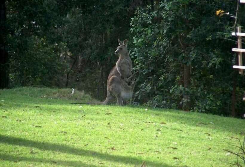 בית מלון כפרי Lakeshore Lodge