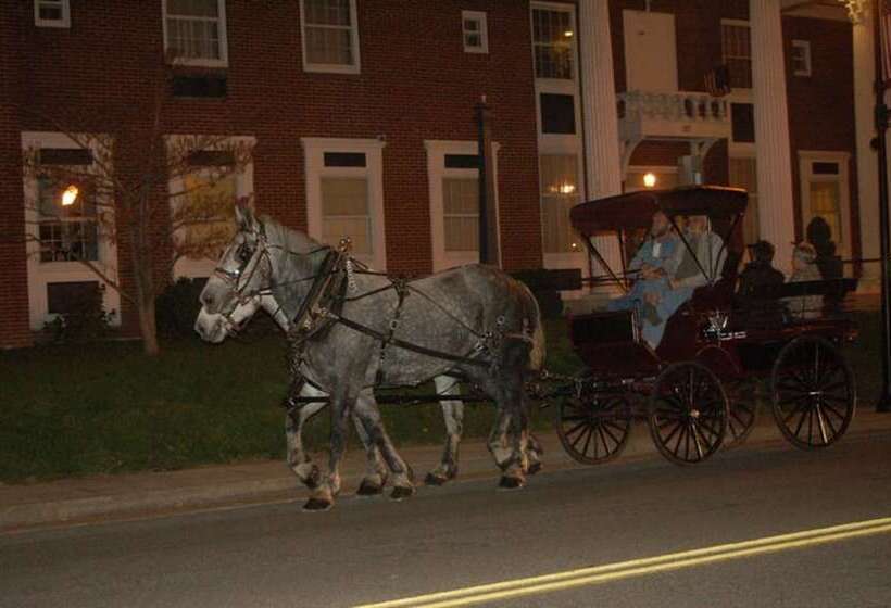 酒店 Macarthur Inn