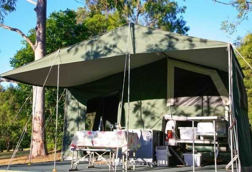 فندق Mt Barney Lodge Country Retreat