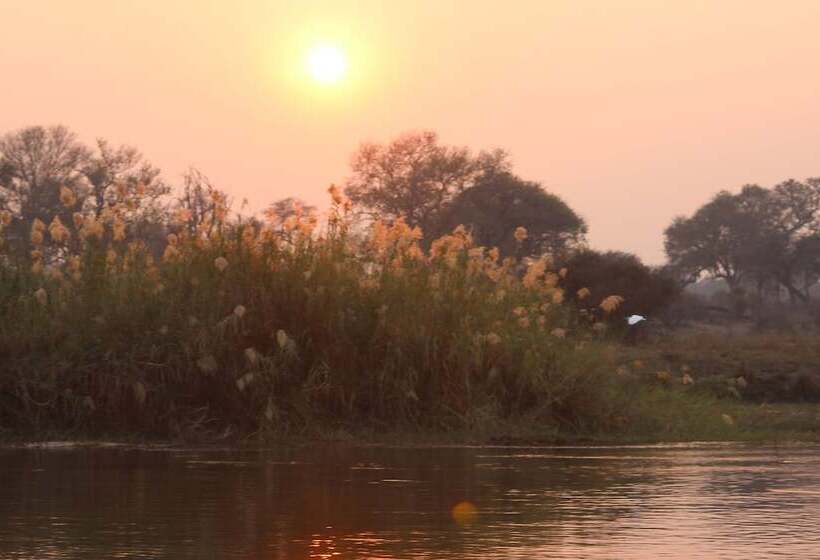 酒店 Ndhovu Safari Lodge   Campground