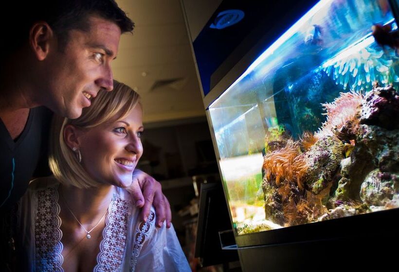 בית מלון כפרי Tasman Holiday Parks   North Star