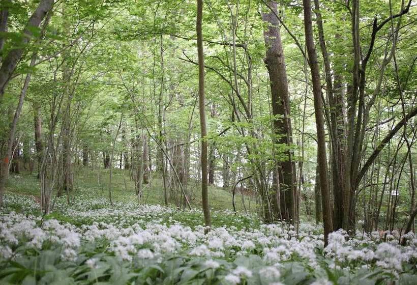 فندق Lygnerns Pensionat & Konferens