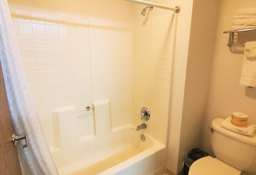 فندق Quality Inn & Suites