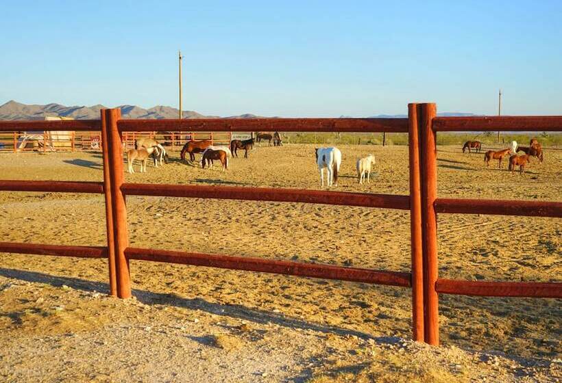 בית מלון כפרי Stagecoach Trails Guest Ranch