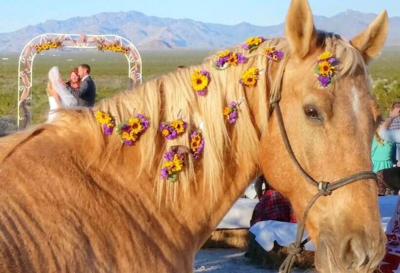 בית מלון כפרי Stagecoach Trails Guest Ranch