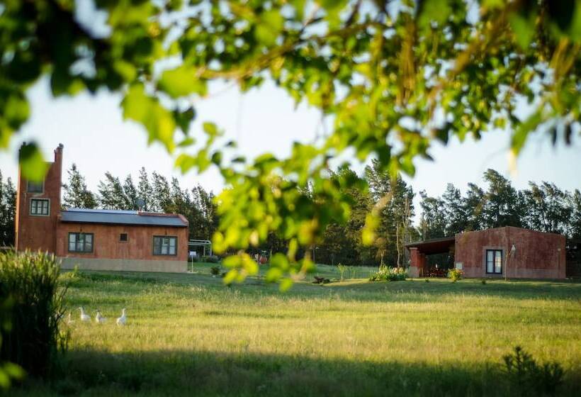 교외 호텔 Tierra Chana Estancia De Campo